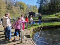 Mehrere Personen stehen an einem Forellenteich und füttern die Fische