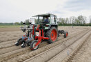 Ein Traktor mit spezieller Ausrüstung sät Sesam. Das Erdreich ist in Reihen dammförmig vorbereitet. (Foto: B. Gleixner, LfL)