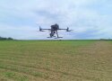 Drohne über einem Feld.