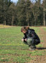 Junge Frau sichtet den Pflanzenaufwuchs auf einem Feld
