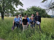 Die Jury in einer Streuobstwiese.