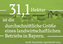 Grafik: In Bayern liegt die durchschnittliche Größe eines landwirtschaftlichen Betriebs bei 31,1 Hektar.