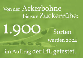 Grafik mit dem Schriftzug: von der Ackerbohne bis zur Zuckerrübe: 1.900 Sorten wurden 2024 im Auftrag der LfL getestet.