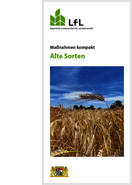 Titelblatt der Publikation