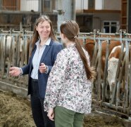Zwei Frauen unterhalten sich in einem Kuhstall