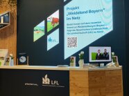 Theke mit großer Leinwand im Hintergrund auf einer Messe