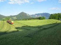 Grünland Schnitt Alpenvorland