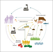 Schematische Darstellung der Güterkreisläufe zwischen Landwirtschaft, Industrie und Verbraucher.