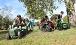 Schulkinder mit Tretschleppern unter einem Apfelbaum mit reifen Äpfeln