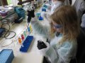 Kind beim Pipettieren im Labor