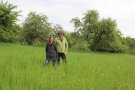 Wiese