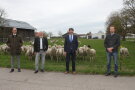 mehrere Männer direkt vor einer Weide mit Schafherde