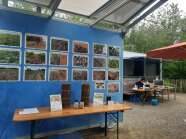 Ein Stand auf der Landesgartenschau 2024