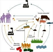 Abbildung 5: Schema der Kreislaufwirtschaft des Agrar- und Ernährungssystems