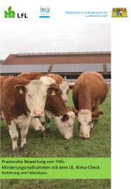 Das Titelblatt des Leitfadens. 