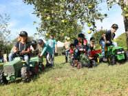 Schulkinder mit Tretschleppern unter einem Apfelbaum mit reifen Äpfeln.