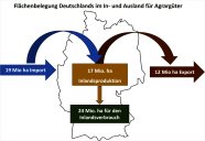 Abbildung 4: Grafik: Flächenbelegung Deutschlands im In- und Ausland für Agrargüter.