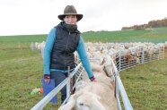 Maria Hoffmann (Bayerische Landesanstalt für Landwirtschaft) an einem Pferch mit Schafen.