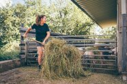 Eine Frau gabelt Heu in einen offenen Schweinestall.