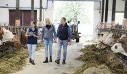 Monika Zehetmeier, Johann und Monika Mayerhofer laufen durch einen Kuhstall.