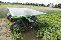Roboter auf Feld zwischen Pflanzen