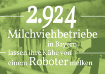 2.924 Milchviehbetriebe in Bayern lassen ihre Kühe von einem Roboter melken.