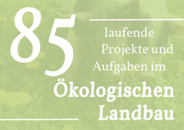 Grafik mit Schriftzug: 85 laufende Projekte und Aufgaben im Ökologischen Landbau