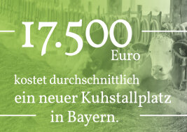 2025 12 Zahl Des Monats