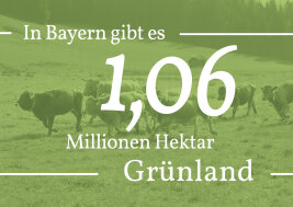 Grafik: In Bayern gibt es 1,06 Millionen Hektar Grünland.