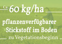 Grafik: ca. 60 kg/ha pflanzenverfügbarer Stickstoff im Boden zu Vegetationsbeginn