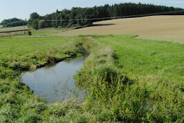 Bachlauf in einer Wiese