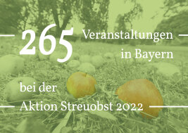 256 Veranstaltungen in Bayern bei der Aktion Streuobst 2022