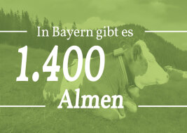 In Bayern gibt es 1400 Almen.