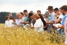 eine Gruppe von Menschen steht an einem Getreidefeld