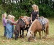 Kinder streicheln Ponys