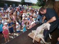 Zahlreiche Besucher bei der Vorführung Schafschur