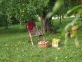 Herbstzeit-Idylle auf einer Streuobst mit Holzstuhl, Apfelkorb und Apfelsaftkanister