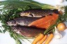 Palette frischer Fische: Bachforelle, Regenbogenforelle, Bachsaibling und Lachsforellenfilet