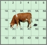 Zeichnung eines Feldes mit Kuh drauf