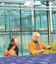 drei Personen stehen an blauen Kästen und begutachten Pflanzen