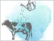 Zeichnung einer Kuh, die von einer Gießkanne begossen wird