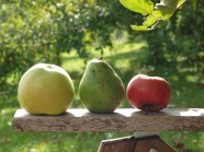 Apfel und Birne vor idyllischer Streuobstwiese