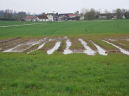 Überschwemmtes Feld.