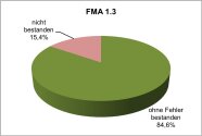 Prozentuale Verteilung der Erfolge für die Parametergruppe FMA 1.3 Kreisdiagramm